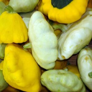 squash, Patty Pan