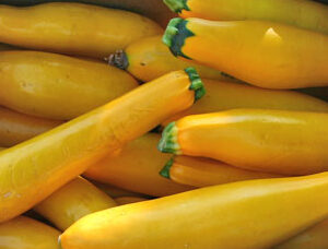 yellow zucchini