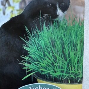 cat grass