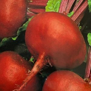 beets, red (round)