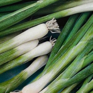 onions, green