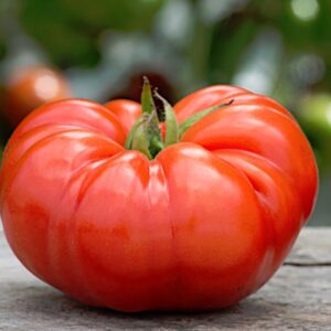 tomato, beefsteak
