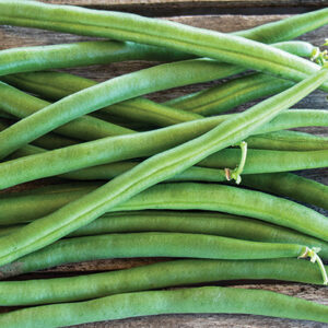 beans, green bush