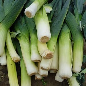 leeks